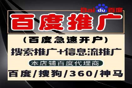 Sem优化公司实战：优化技巧与实战经验分享